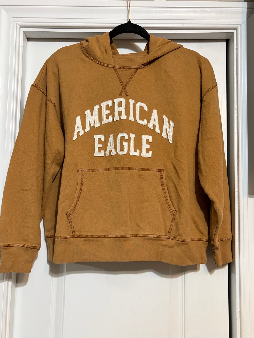 American Eagle Outfitters Unisex Hooded Sweatshirt in Rust